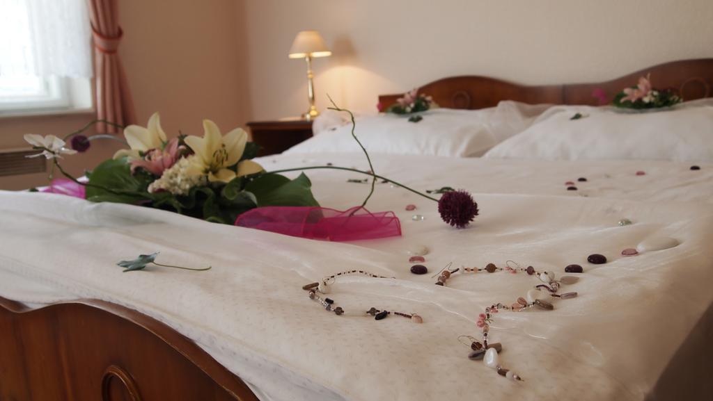 Pension Habermannova Vila Bludov  Habitación foto